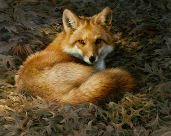 Red Fox Painting