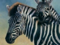 0020-Zebras.jpg