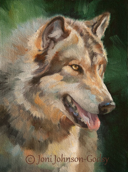 Wildlife Art Original Oil Painting - Grey Wolf