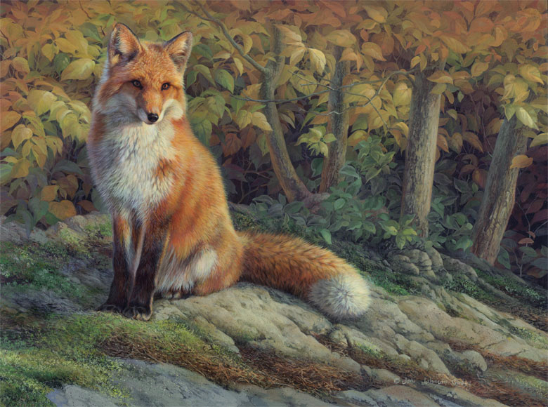 Wildlife Art Original Painting - Red Fox