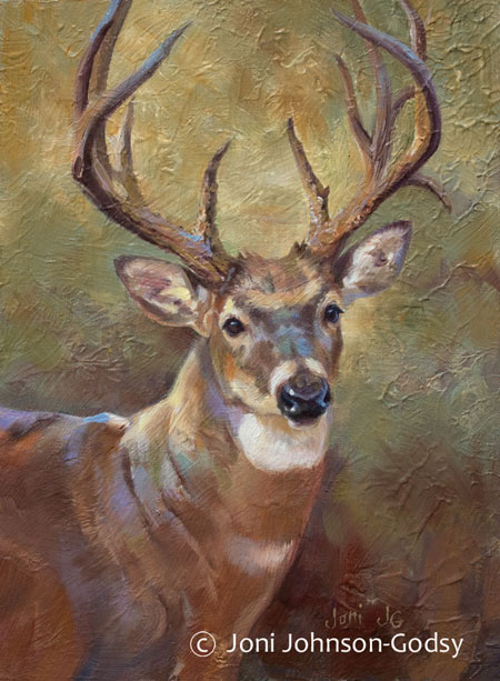 whitetail deer oil paintings