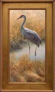 Sandhill Crane Wildlife Art Print
